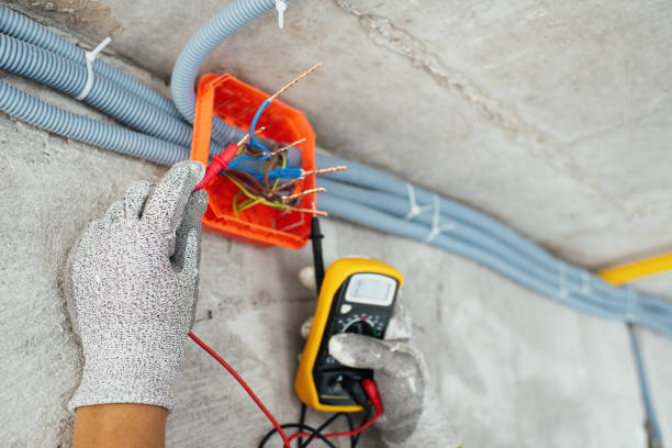 Best Licensed Electrician  in Leisure Knoll, NJ